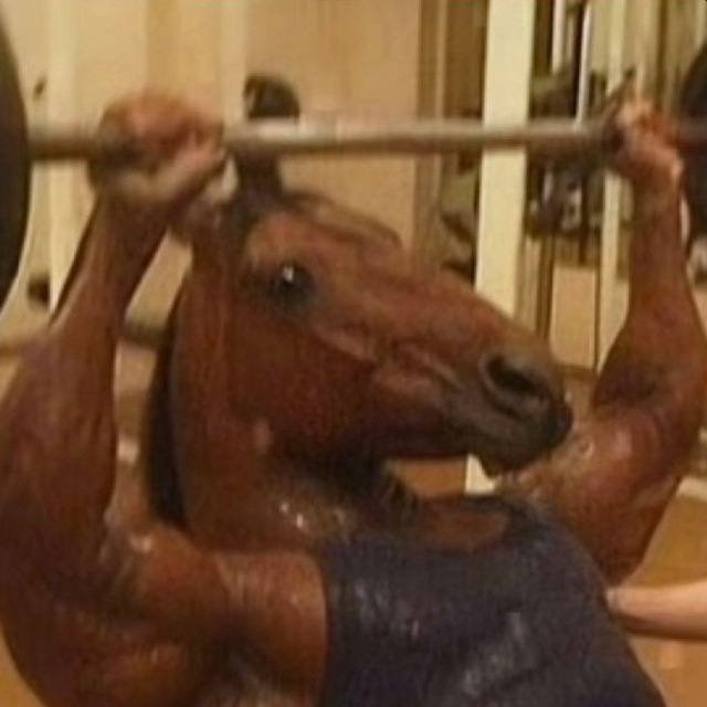 NONSTOP HORSE